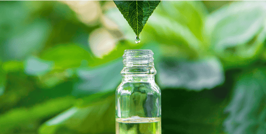 Enhancing holistic well-being with essential oils.