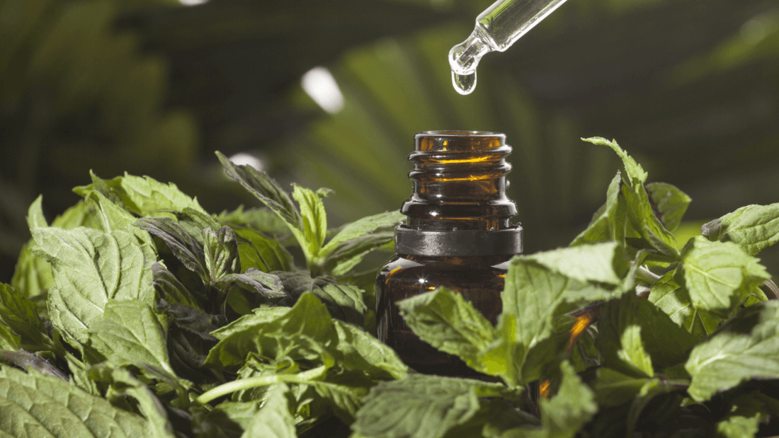 Aromatherapy: Natural Essence for Mind-Body Harmony