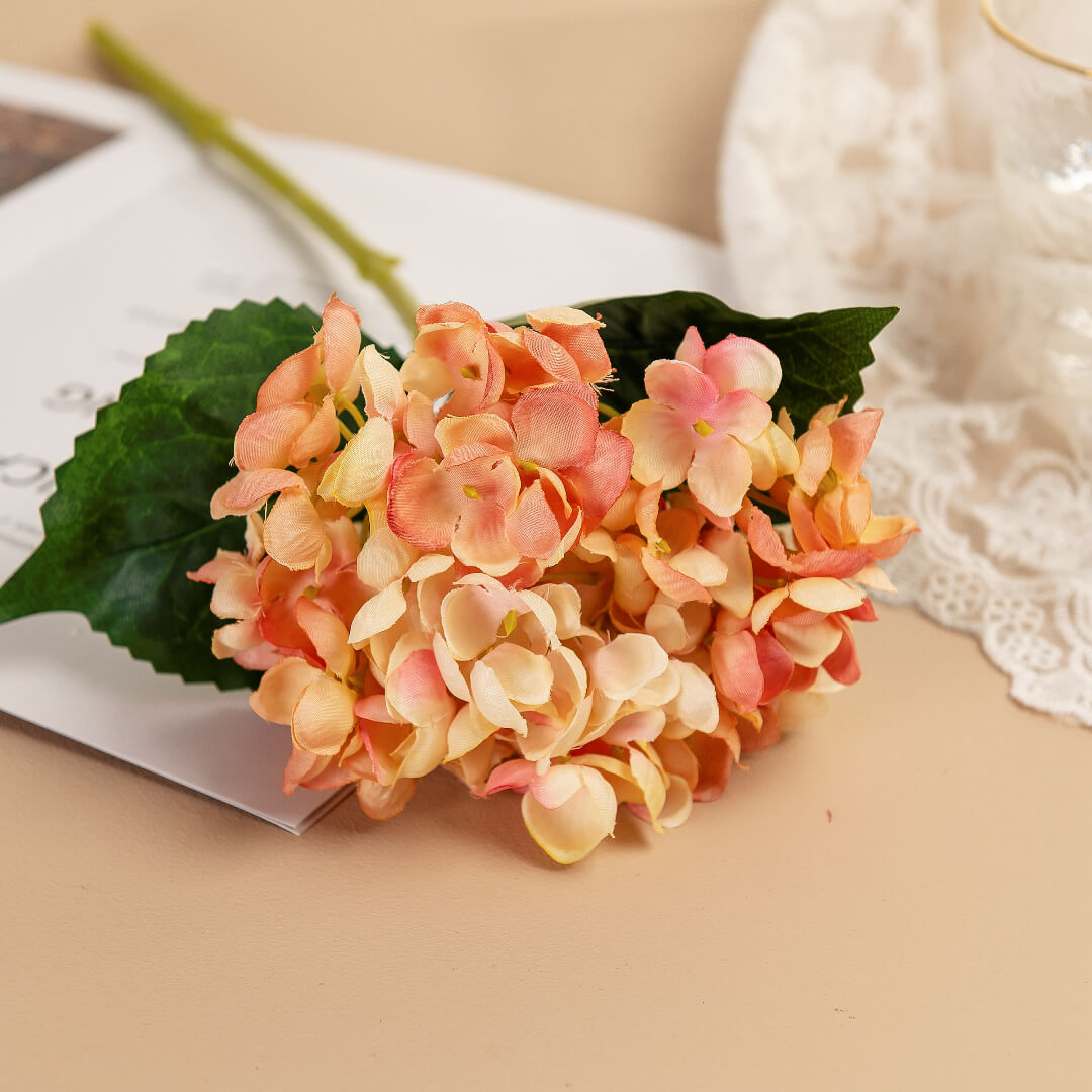 Autumn orange hydrangea, ripe as citrus.