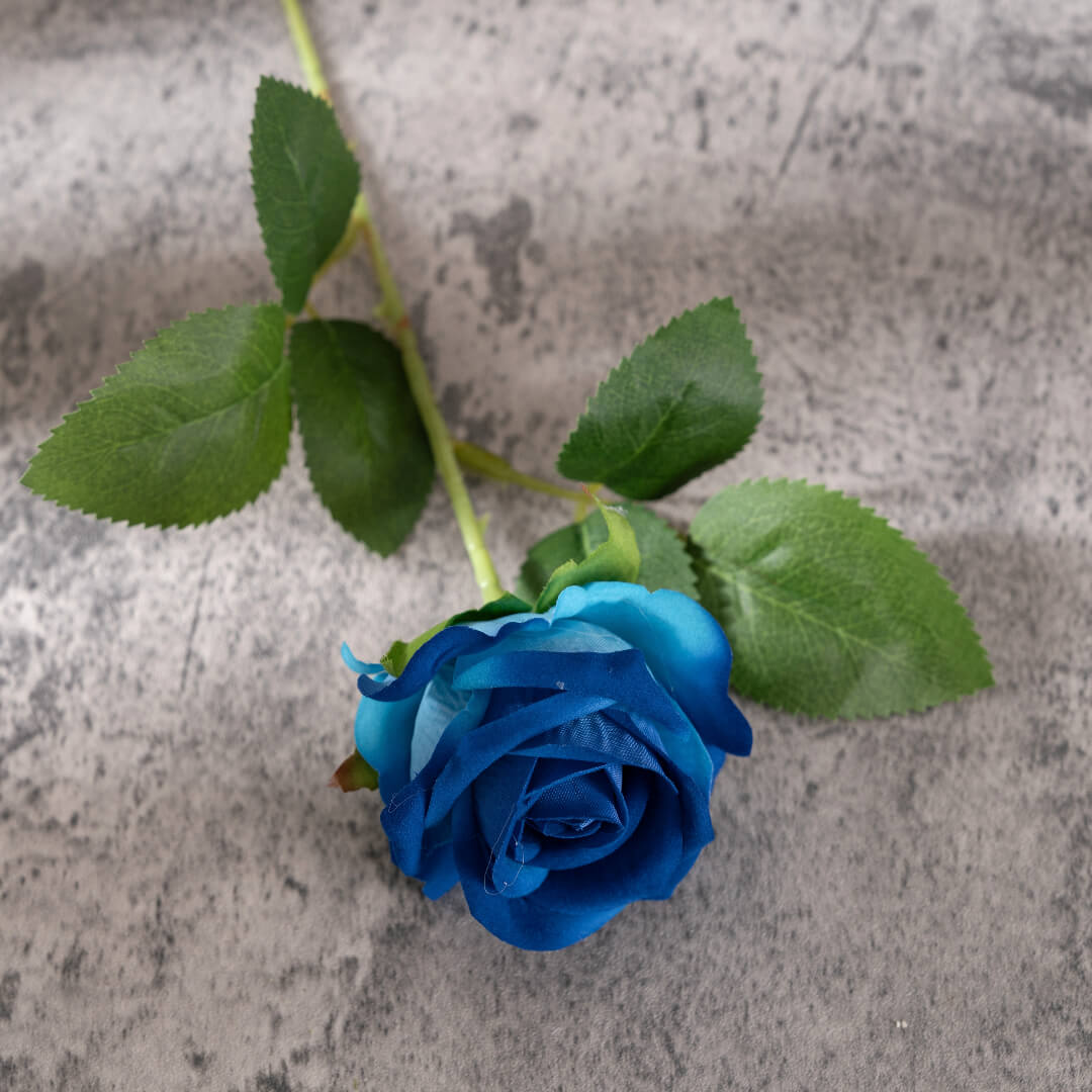 A blue rose, mysterious and enchanting.