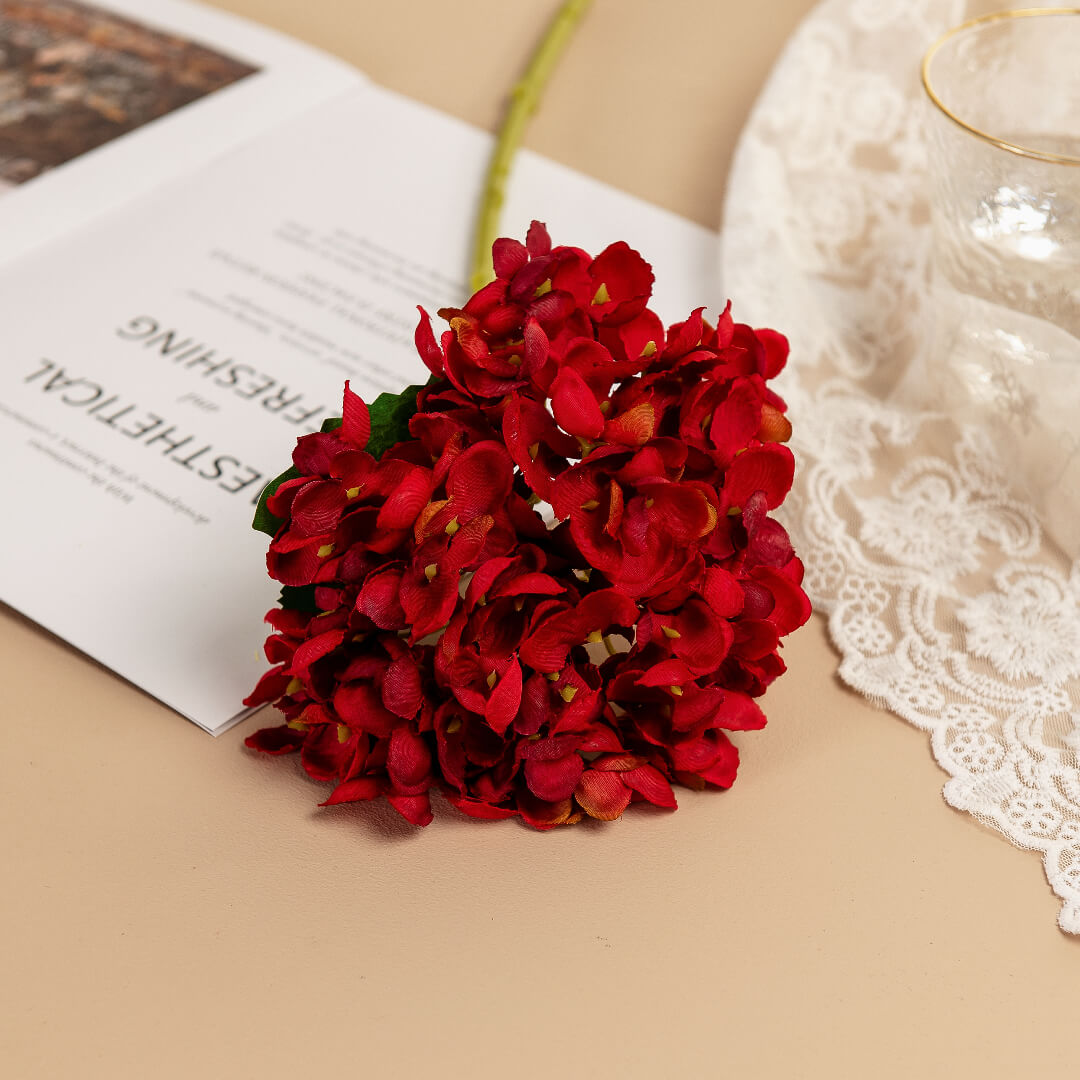 Burgundy hydrangea, rich as fine wine.