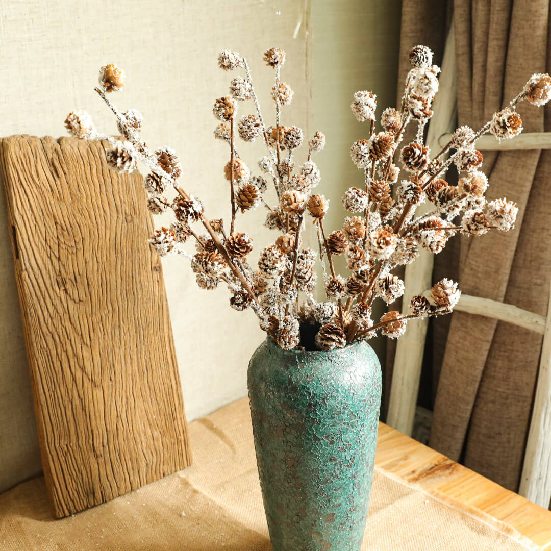 Cedar plant in a vase, ideal for indoor decoration.