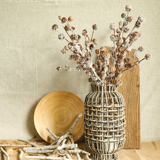 Cedar plant in a vase, exuding an elegant ambiance.