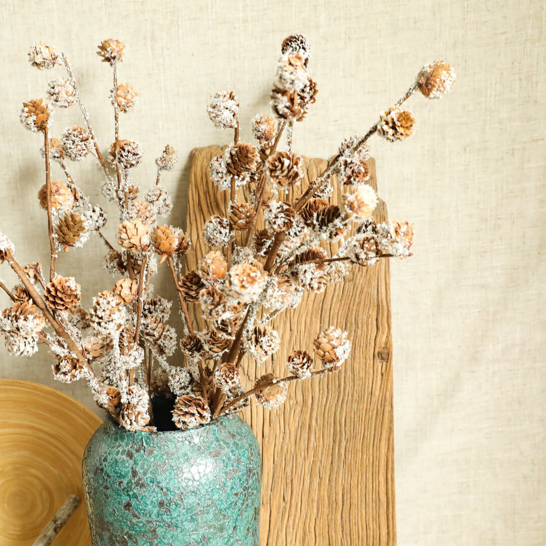 Cedar plant in a vase, with a fresh and natural aroma.