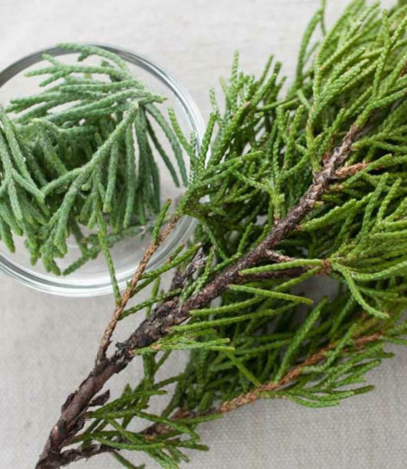 Cedarwood.