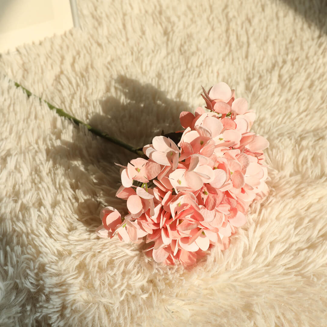 The champagne-colored macaron flower exudes a warm atmosphere, as elegant as a glass of fine wine.