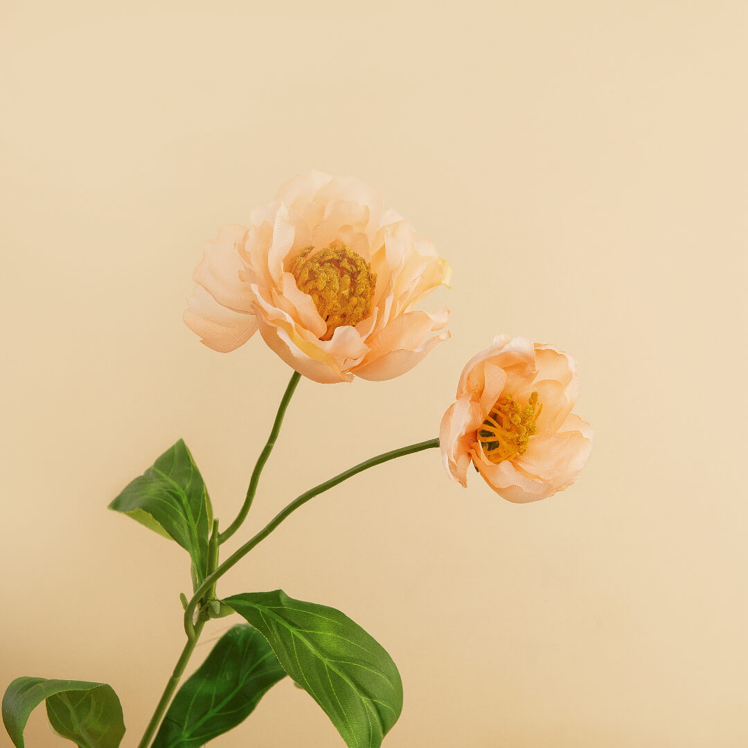 A champagne-colored rosemary flower, gentle and elegant.