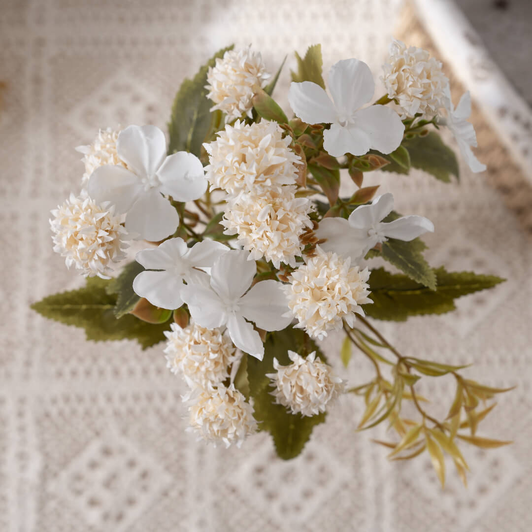 White Collection: Pure and Elegant Clove Flower.