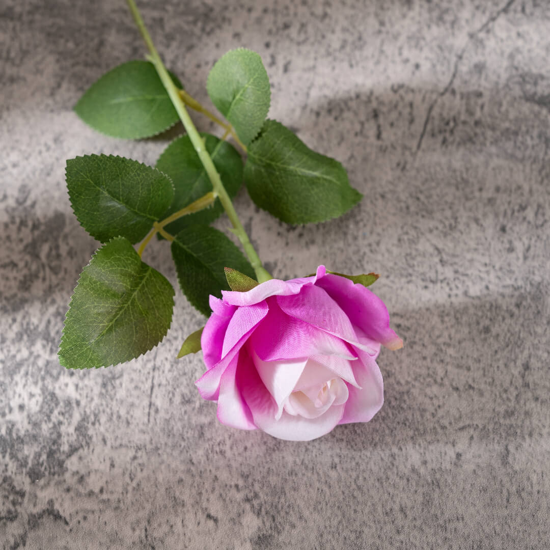 A deep pink rose, fiery and passionate.