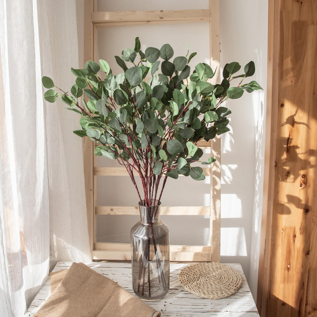 Eucalyptus tree in vibrant green with sunlight.