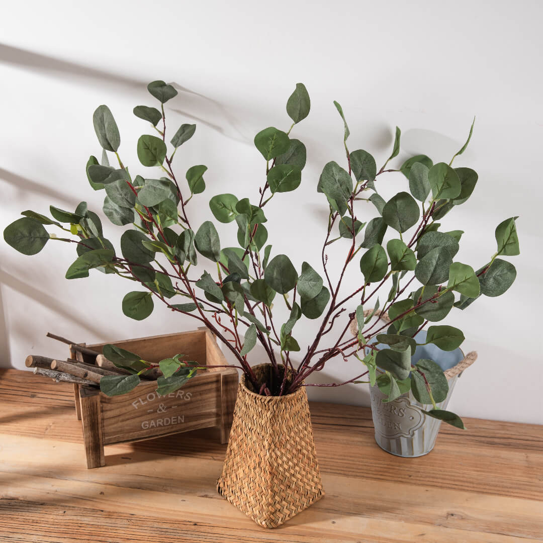 ucalyptus branches in a vase indoors in green.