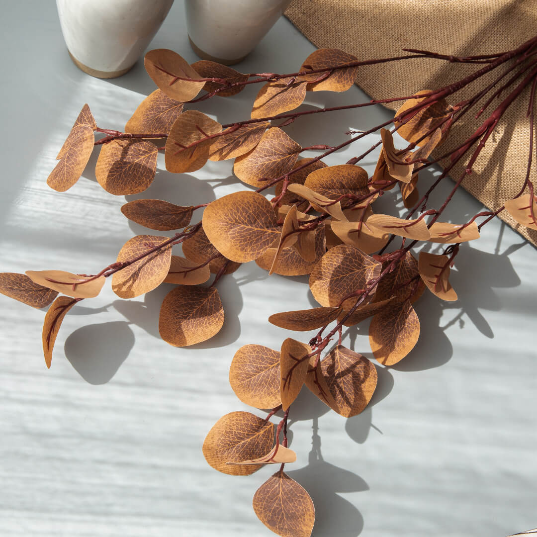 Eucalyptus tree in autumn.