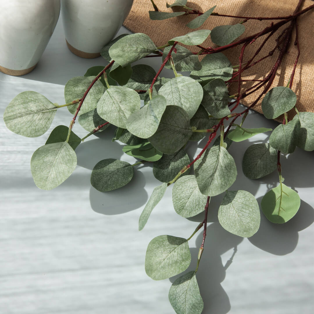 Eucalyptus tree in lush greenery.