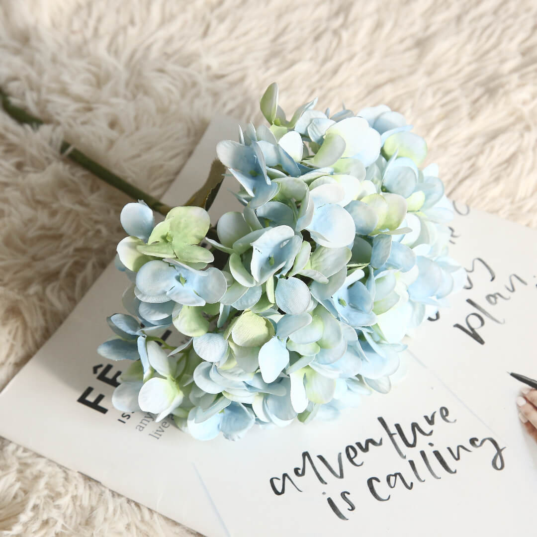 The light blue macaron flower, like the morning sky, brings a sense of freshness and brightness.