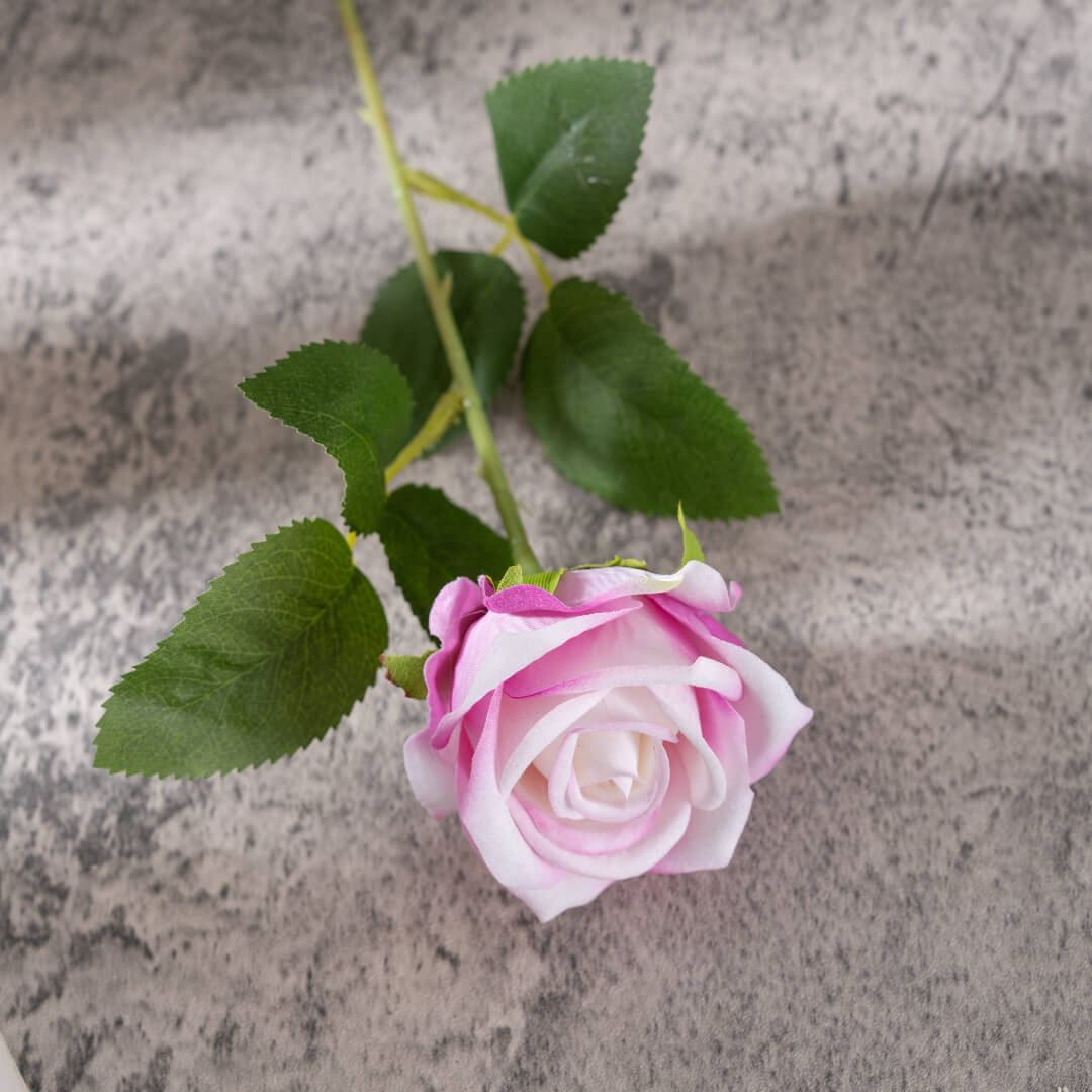 A light pink rose, as gentle as you.