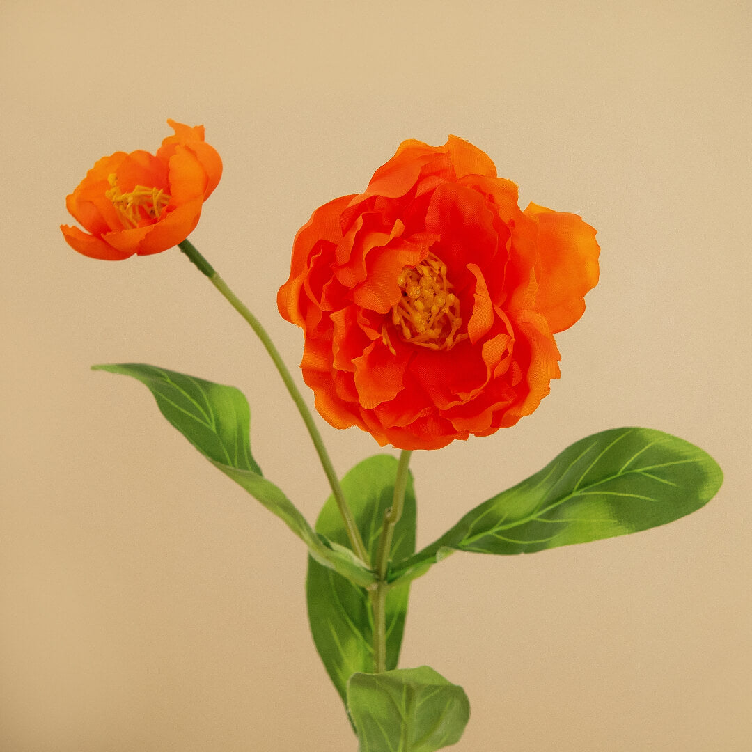 A bright orange-red rosemary flower, vibrant and warm.