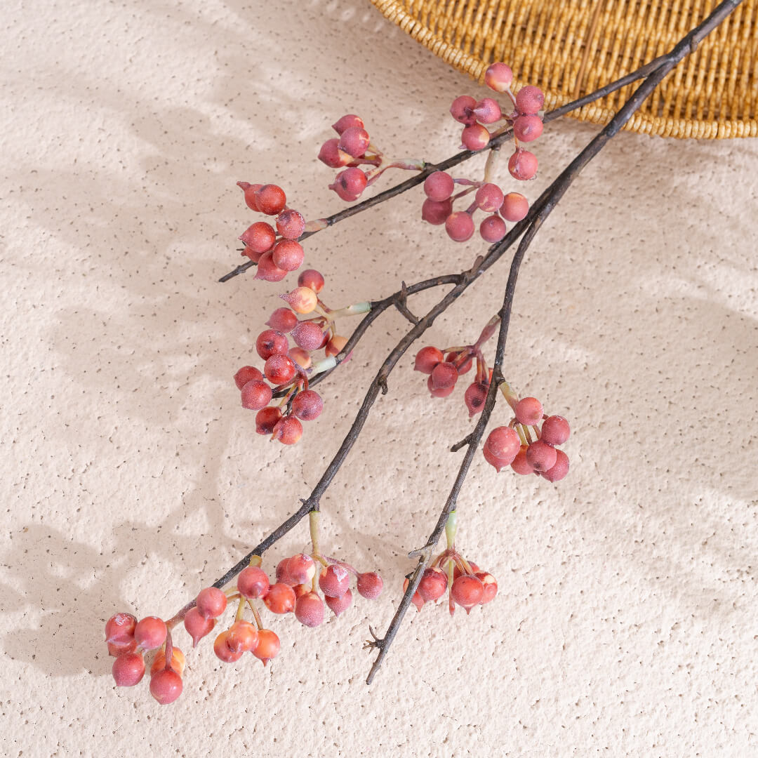 Vibrant Pink Cherry Blossoms