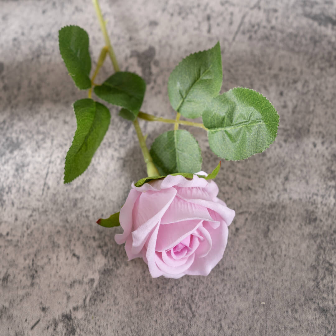 A pink-heart rose, symbolizing sincere love.
