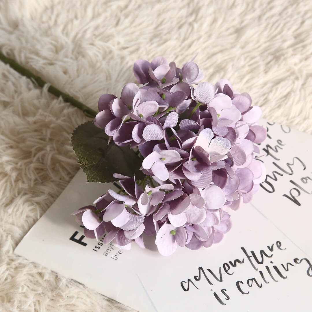 The deep purple-pink macaron flower exudes a profound charm, like a long serenade in the night.