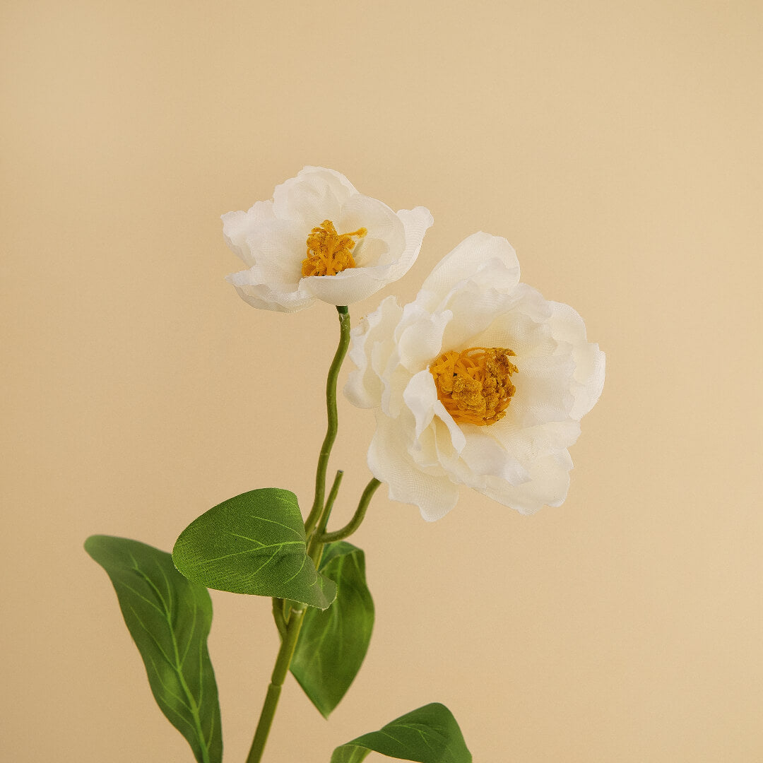 A pure white rosemary flower, pristine and elegant.