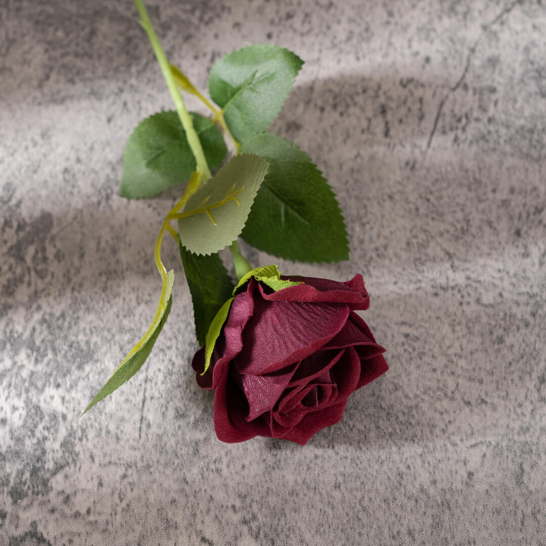 A wine-red rose, passionate and vibrant.