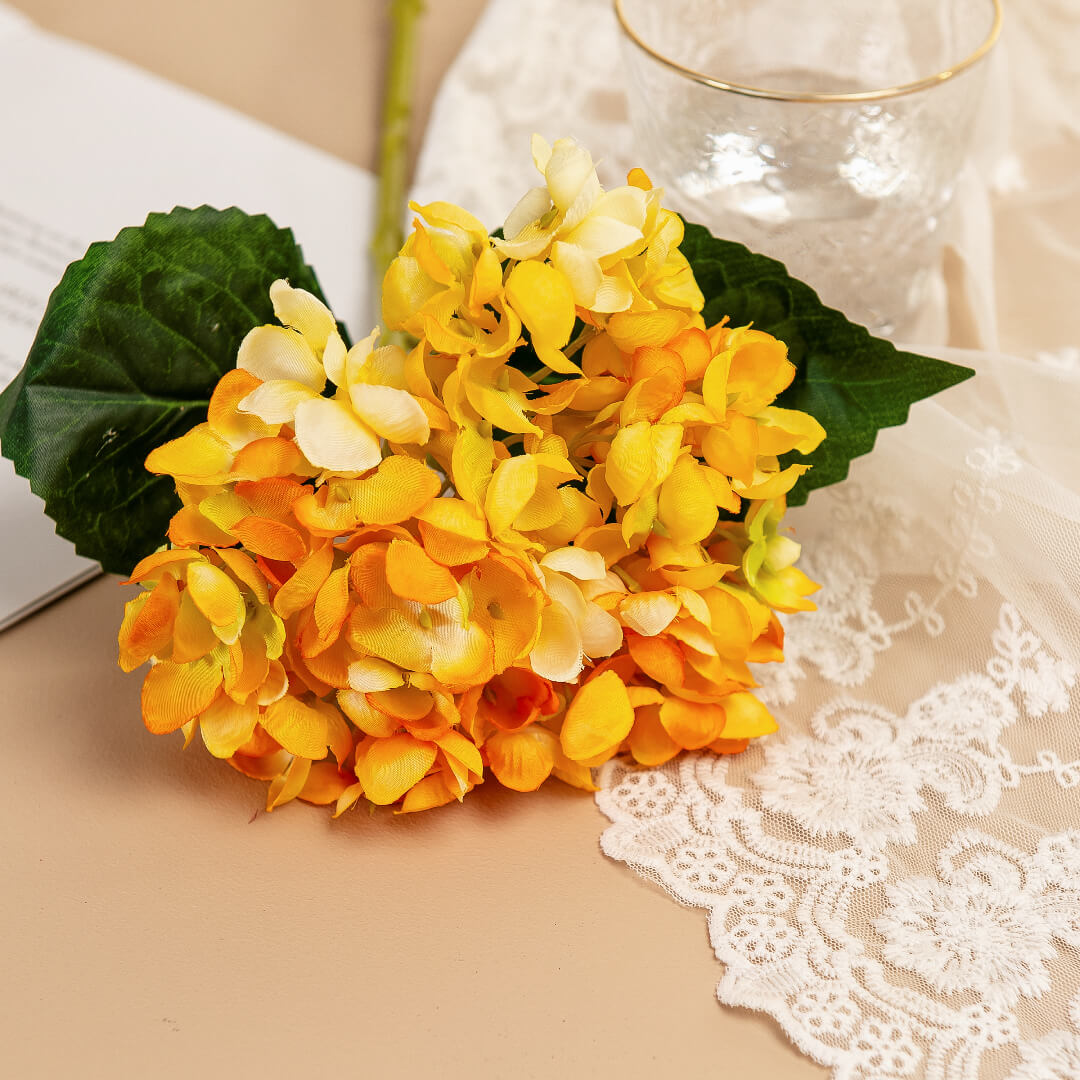 Yellow hydrangea blooms, bright as sunshine.