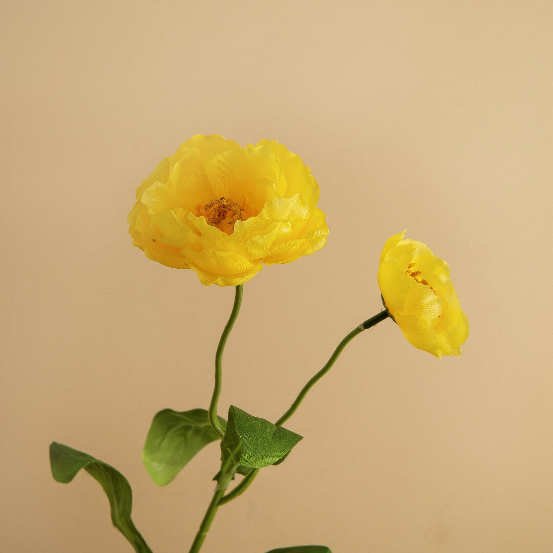 A bright yellow rosemary flower, bright and warm.