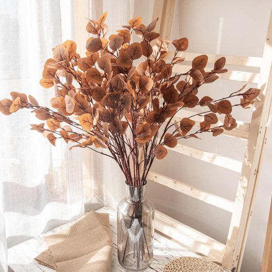Eucalyptus tree in autumn with the setting sun.
