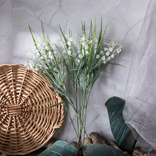 Overhead view of Wind Chime Grass with its plumes densely arranged along the stem.